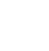 zoomeye